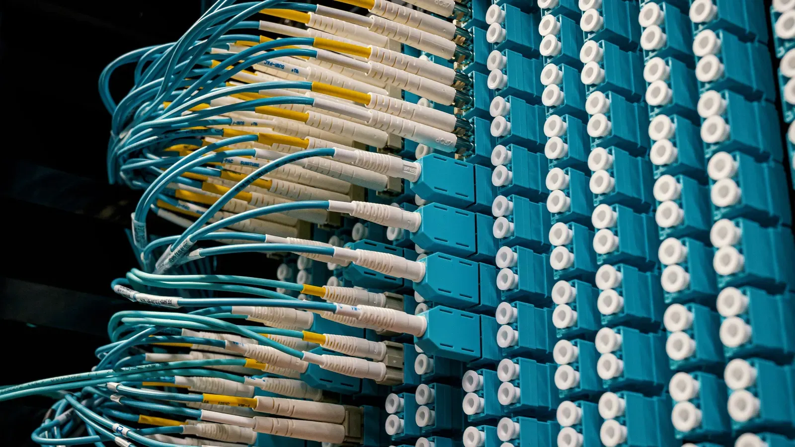 Fiber optic patch cables connected to a patch panel