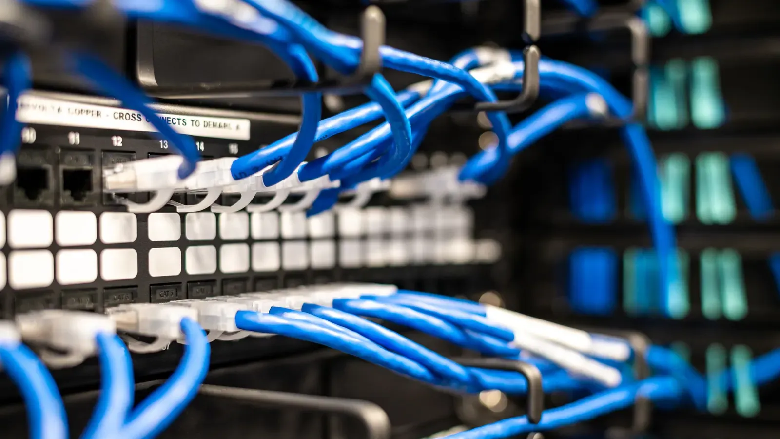 Blue network patch cables plugged into a switch